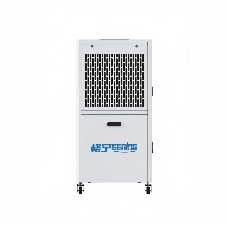 Continuous Drainage Solutions with High Efficiency R290 Moisture Remover