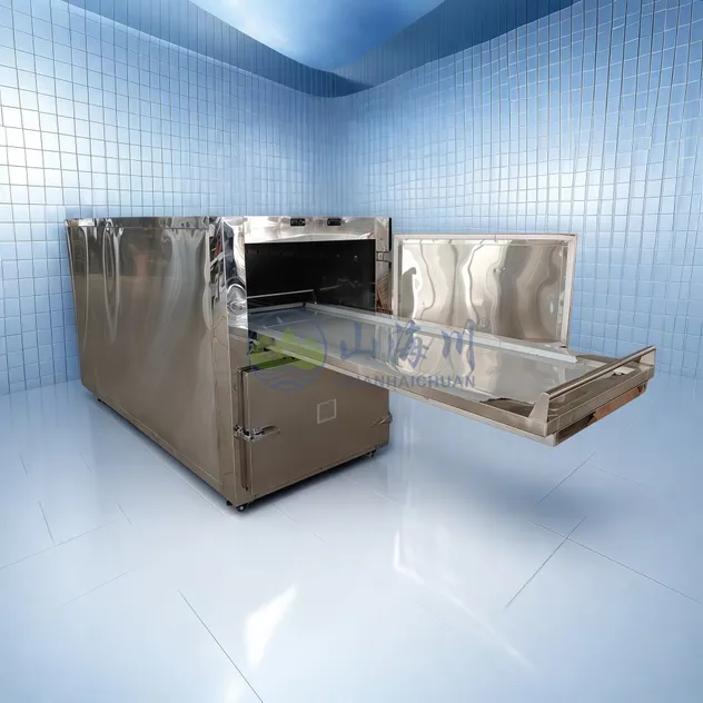 Mortuary Freezer