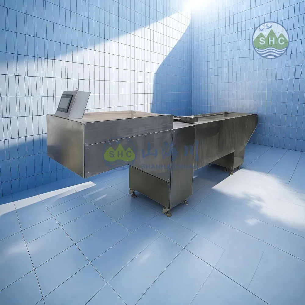 Compact Automatic Coffin Charging System for Space-Saving Cremation Solutions