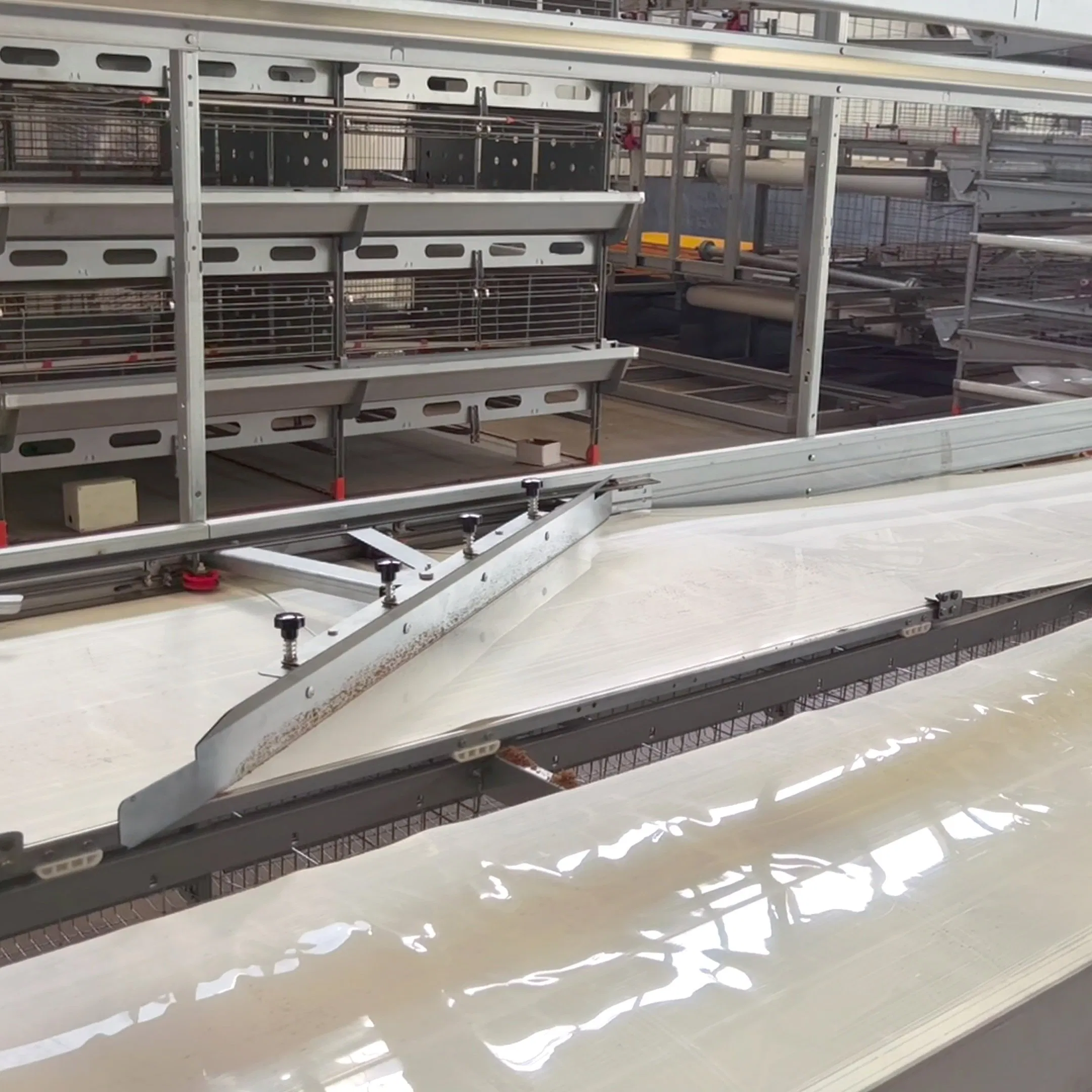 Poultry Farming Chicken Cage Automatic Efficient Manure Removal Equipment