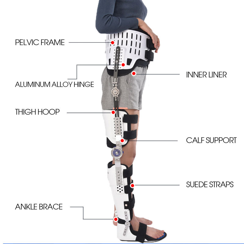 Knee Ankle Foot Fixed Support Adjustable Lower Limb Hip Orthosis Thigh Fracture Support Postoperative Ankle Rehabilitation Device