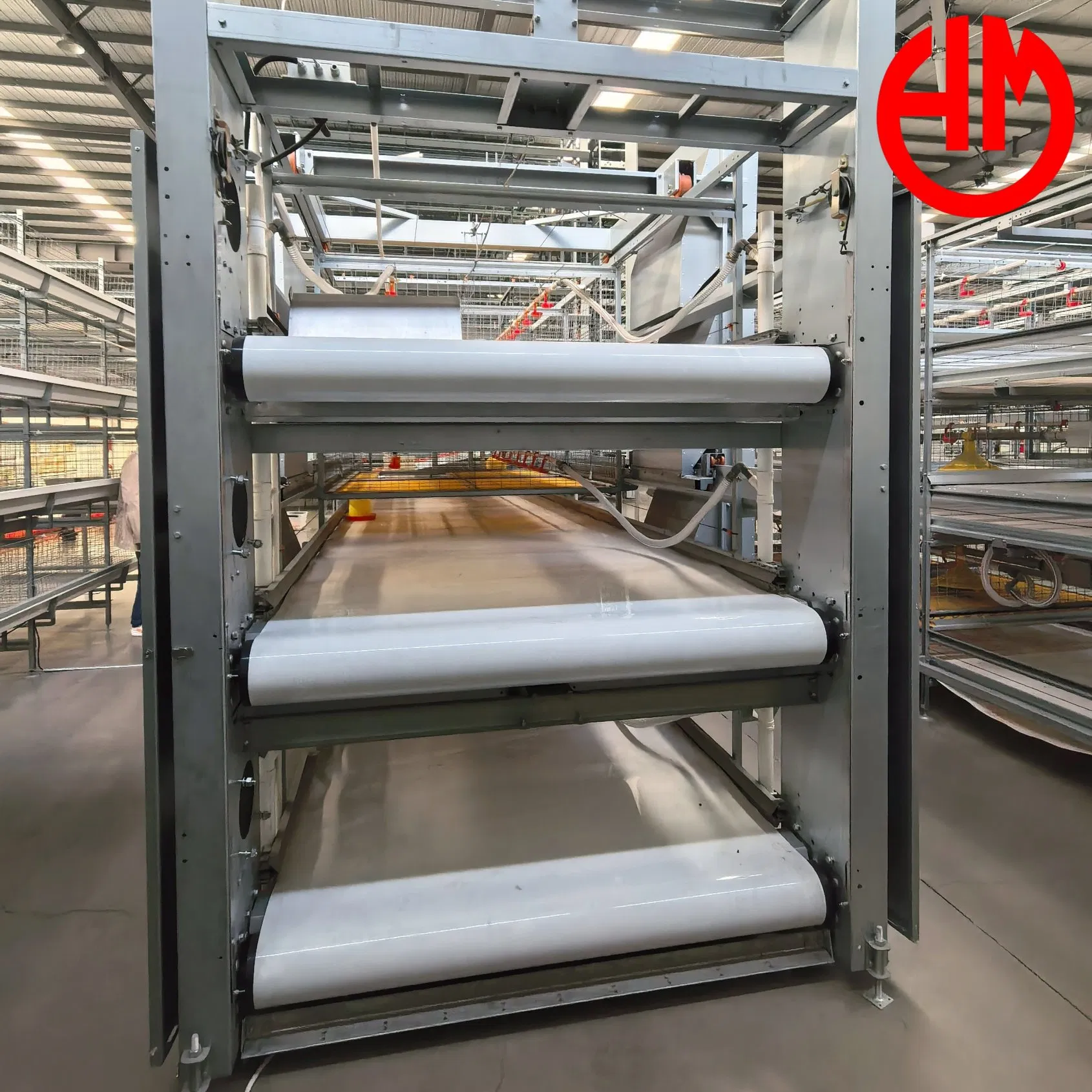 Affordable Layer Chicken Cage Automatic Poultry Farming PP Manure Conveyor Belt Equipment