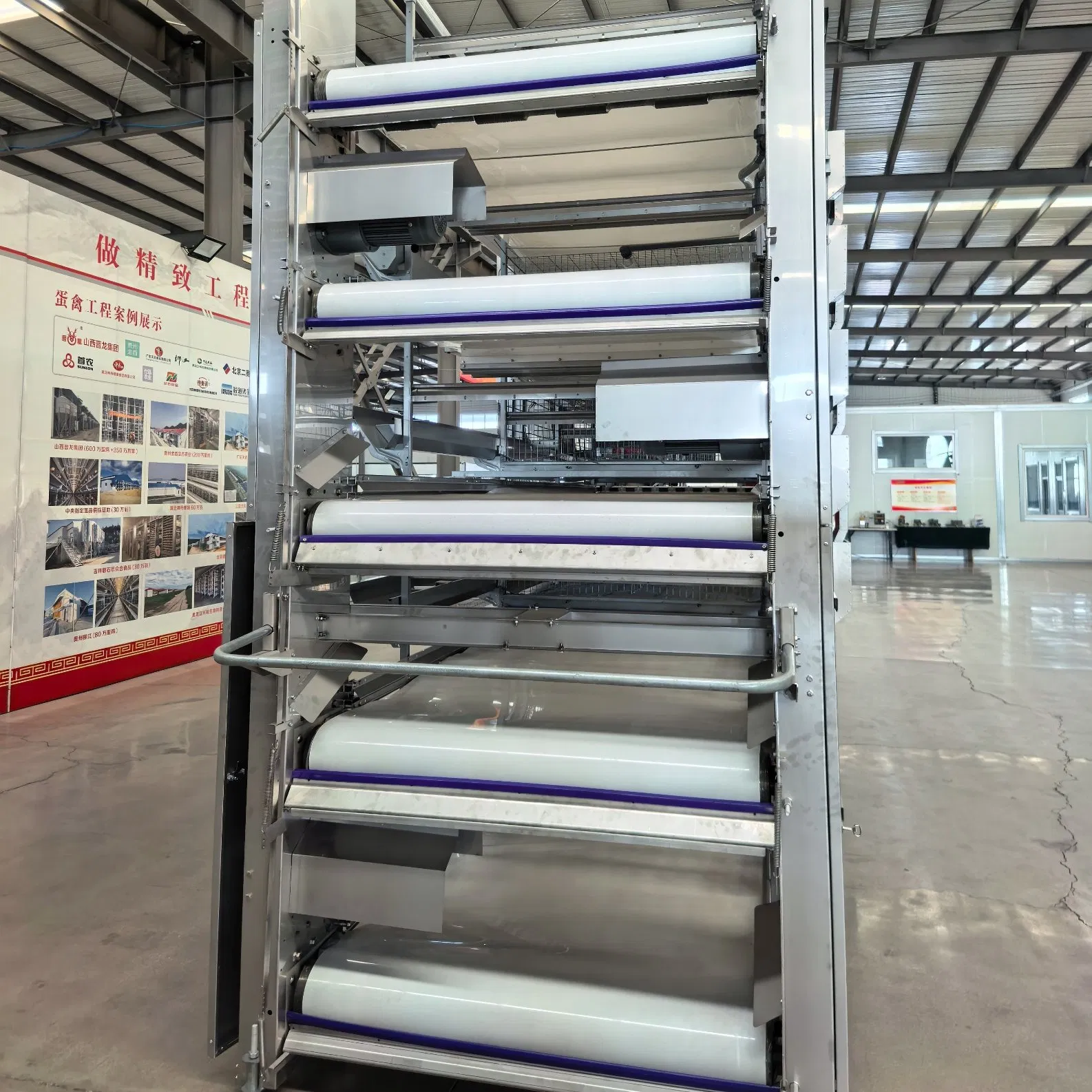 Factory Made Poultry Farming Chicken Cage Automatic Manure Removal Equipment