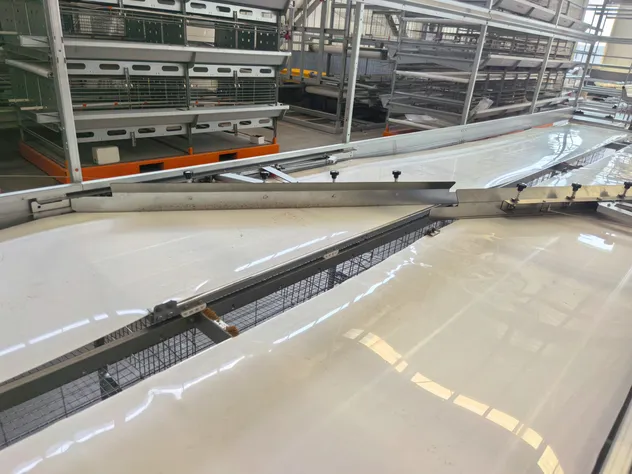 Manure Conveyor Belt 1