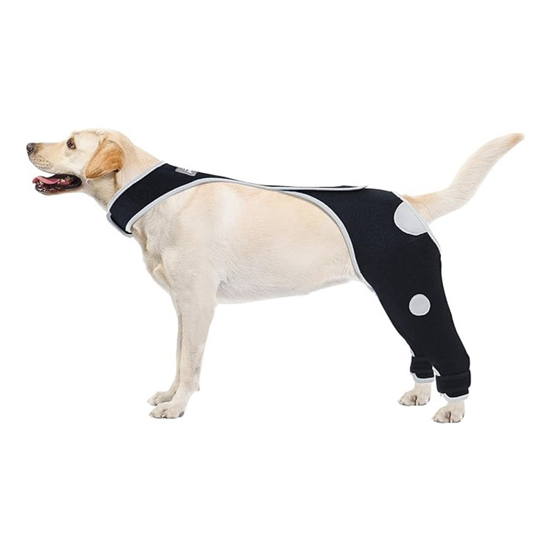 Adjustable Pet Hip Brace Support Pet Accessories for Mobility Aid