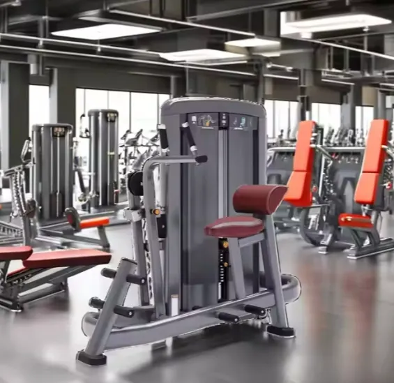 Ergonomic Back Support Design