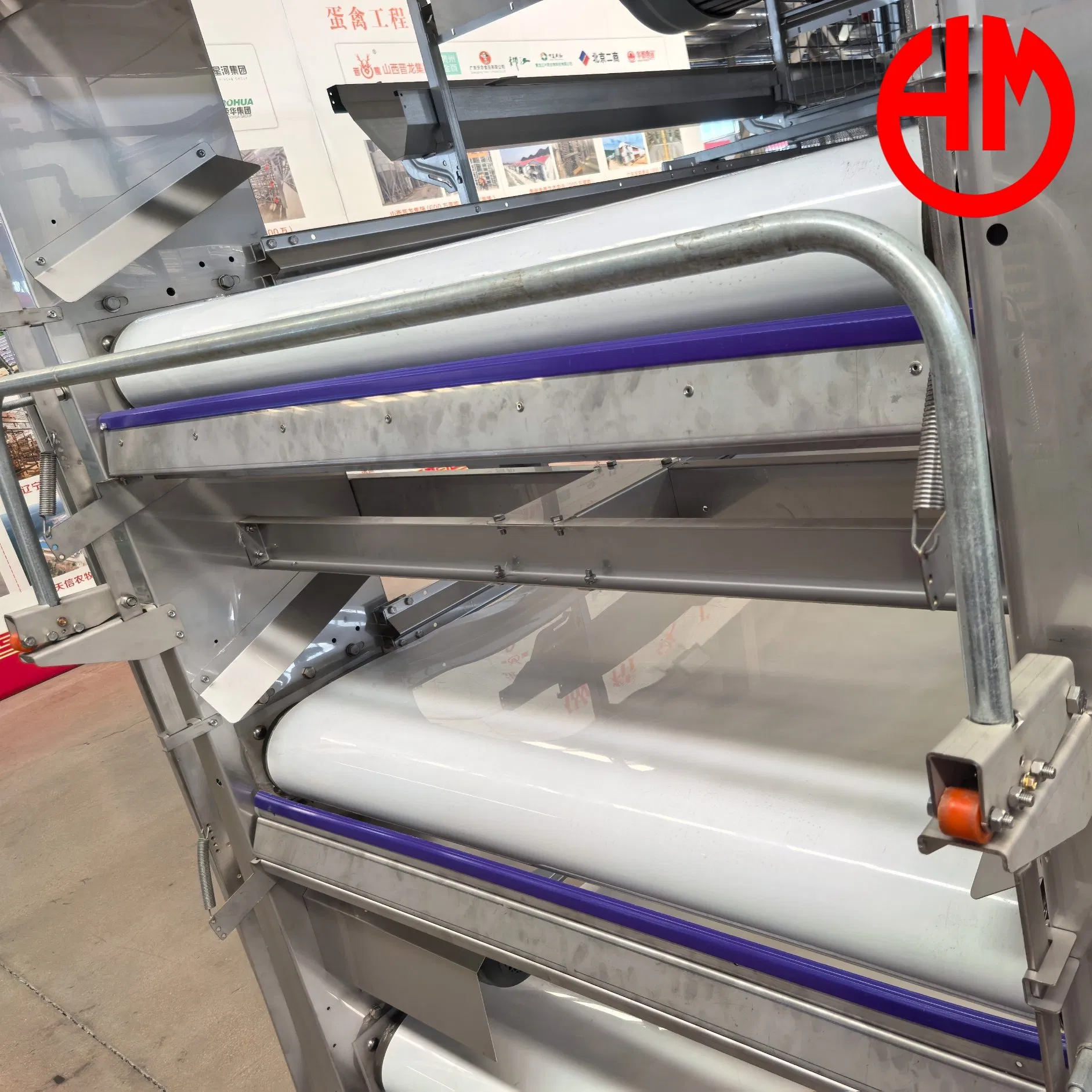 Affordable Layer Chicken Cage Automatic Poultry Farming PP Manure Conveyor Belt Equipment