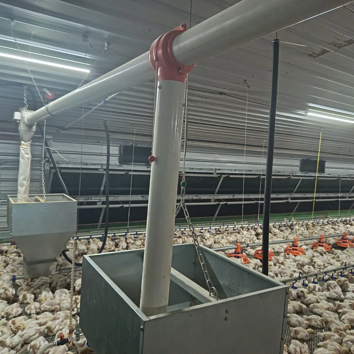Modular Adjustable Innovative Fill System Equipment with Flexible Hopper Components Interchangeable Auger and Expandable Layout Supports Scalable Farms