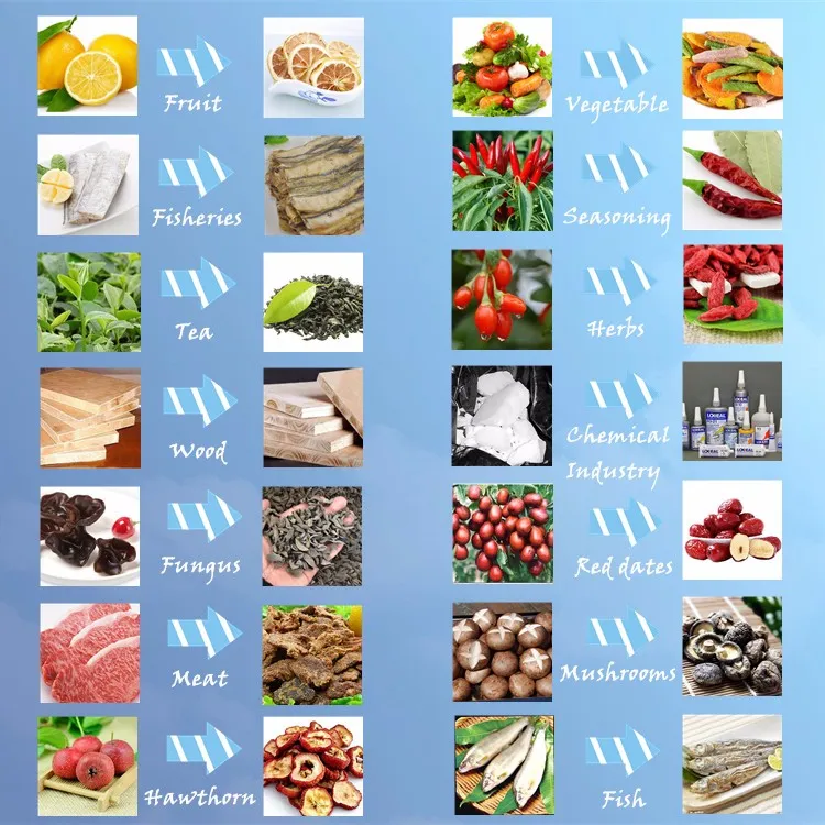 Food Dehydrator Details