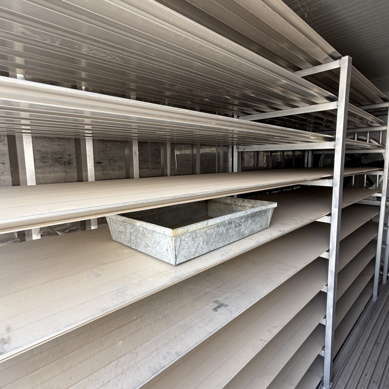 Container Quick Freezing Case: Seafood &amp; Meat Mobile Refrigeration New Solution