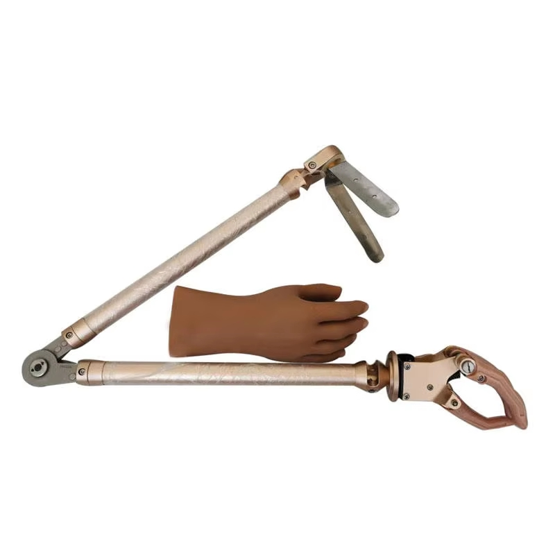 Upper Limb Prosthetic Device for Enhanced Rehabilitation Support