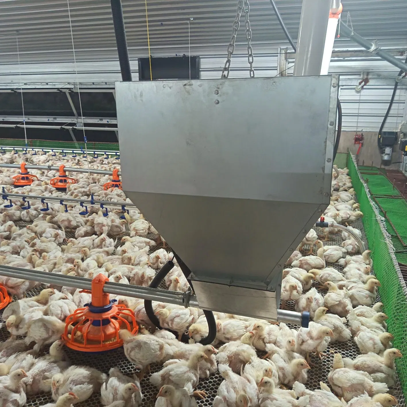 Modular Adjustable Innovative Fill System Equipment with Flexible Hopper Components Interchangeable Auger and Expandable Layout Supports Scalable Farms