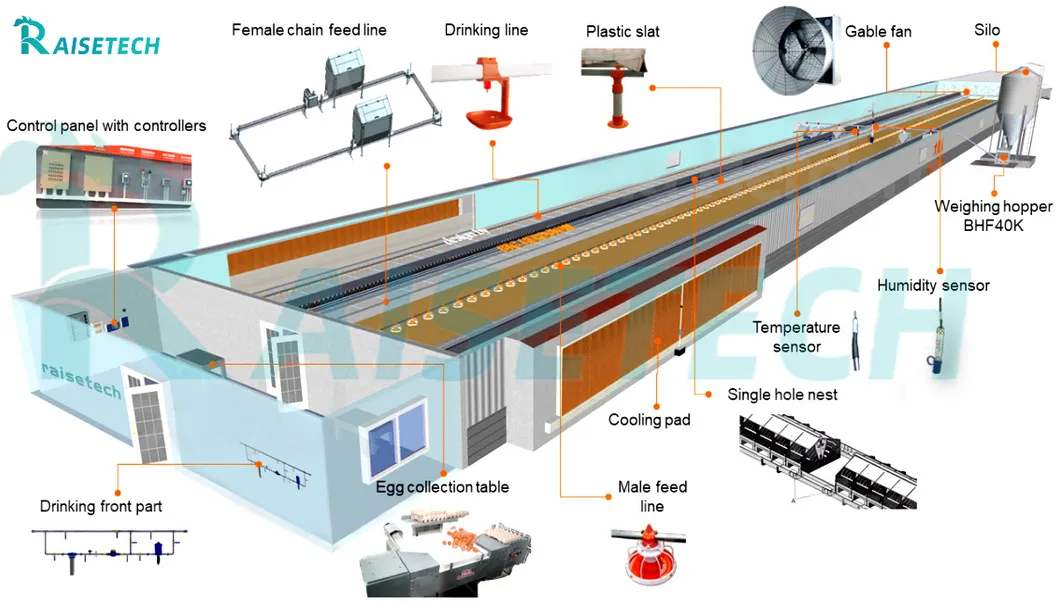 Chain Feeding Equipment
