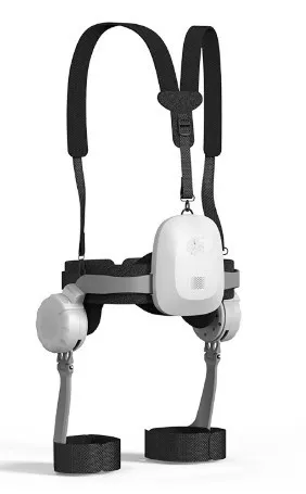 Walking Aid Robot Detail