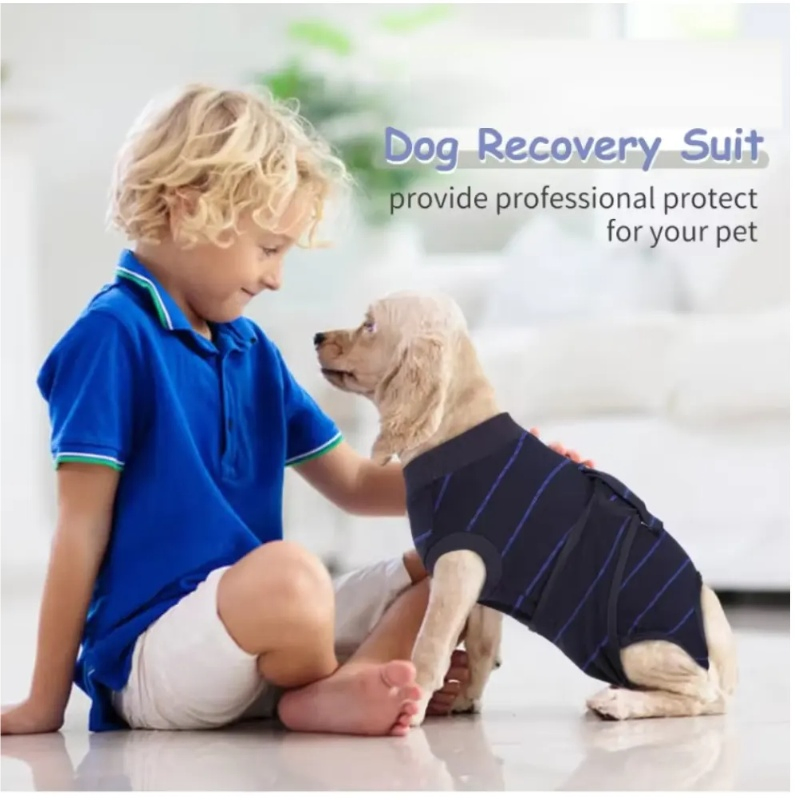 Soft Surgical Recovery Suit for Male Dogs and Pets