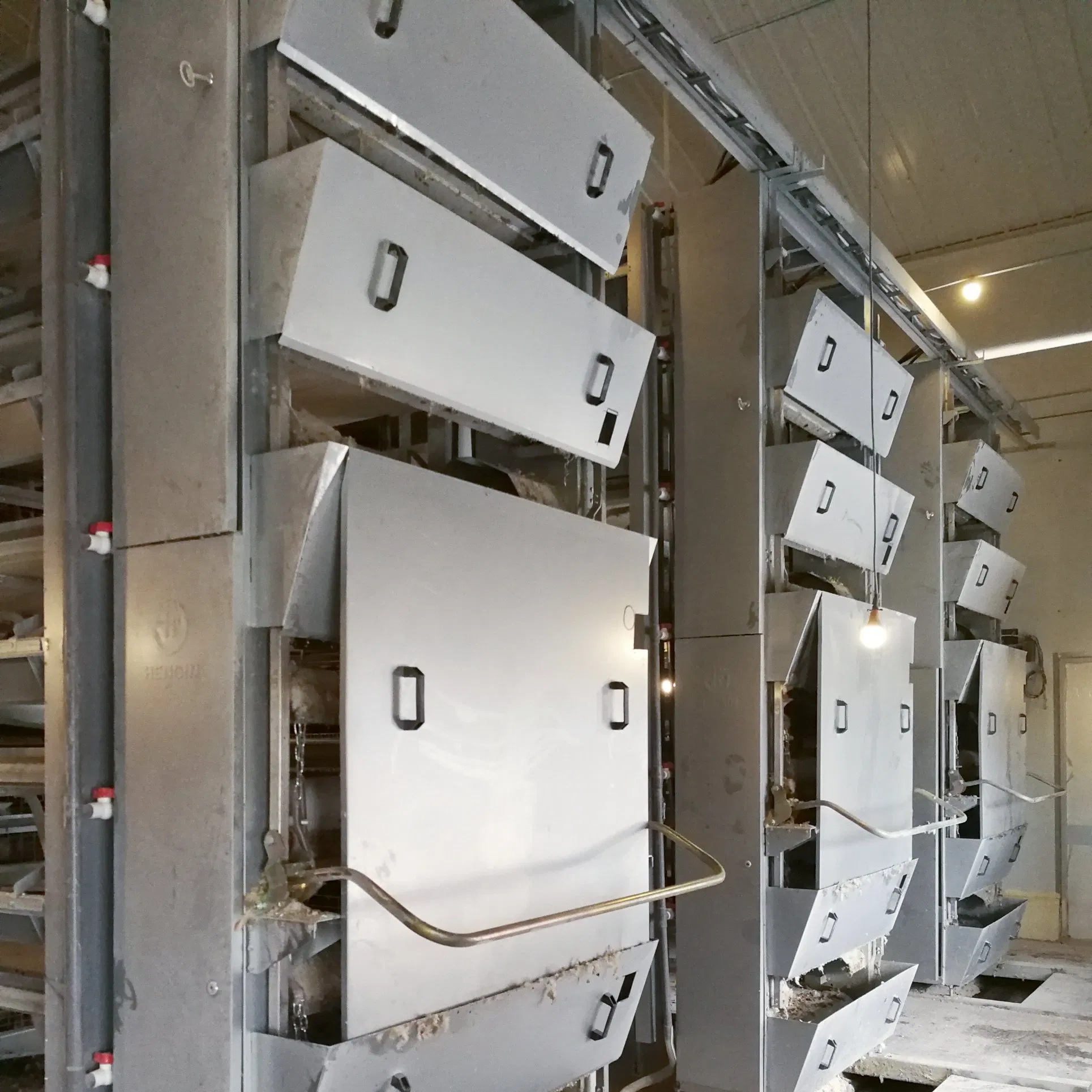 Easy Install Poultry Farm Broiler Chicken Cage Automatic Manure Removal Equipment