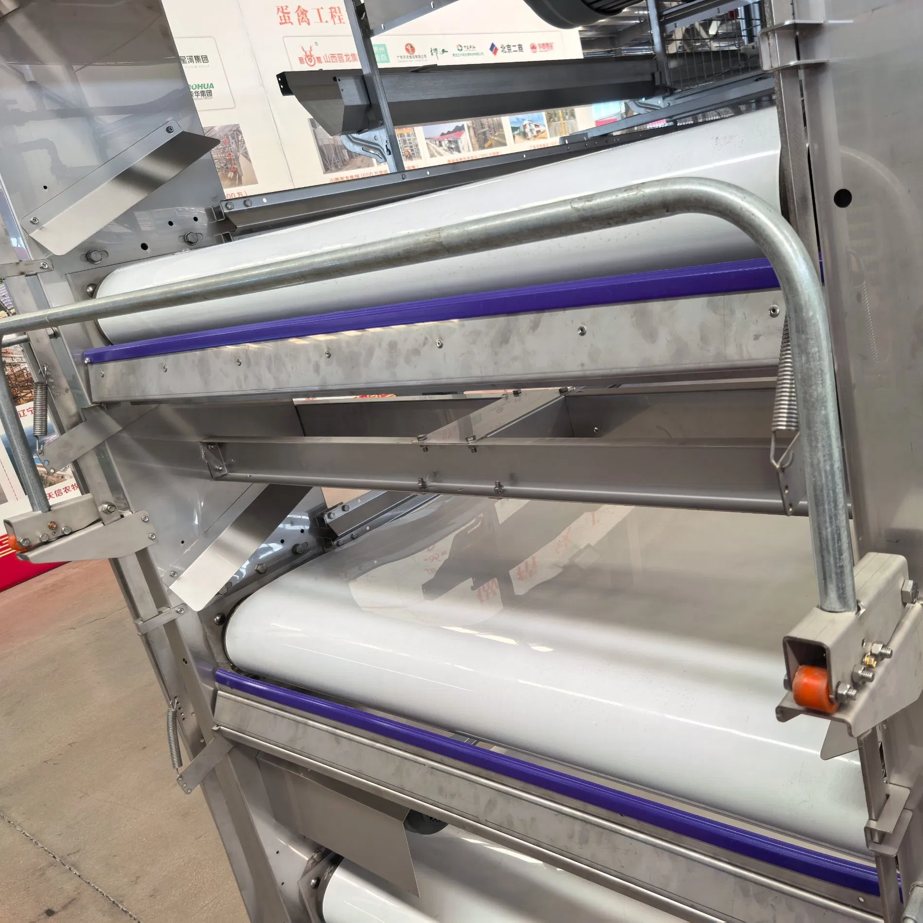 Factory Made Poultry Farming Chicken Cage Automatic Manure Removal Equipment