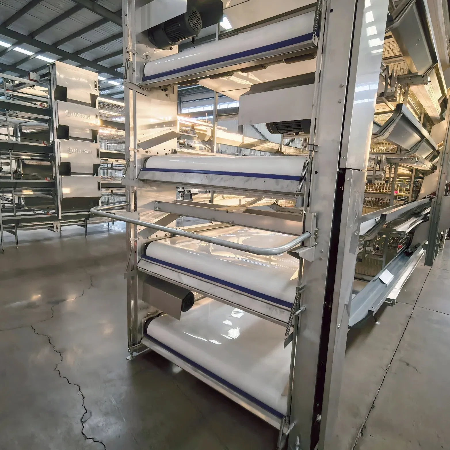 Poultry Farm Broiler Chicken Cage Automatic Efficient Manure Removal Equipment