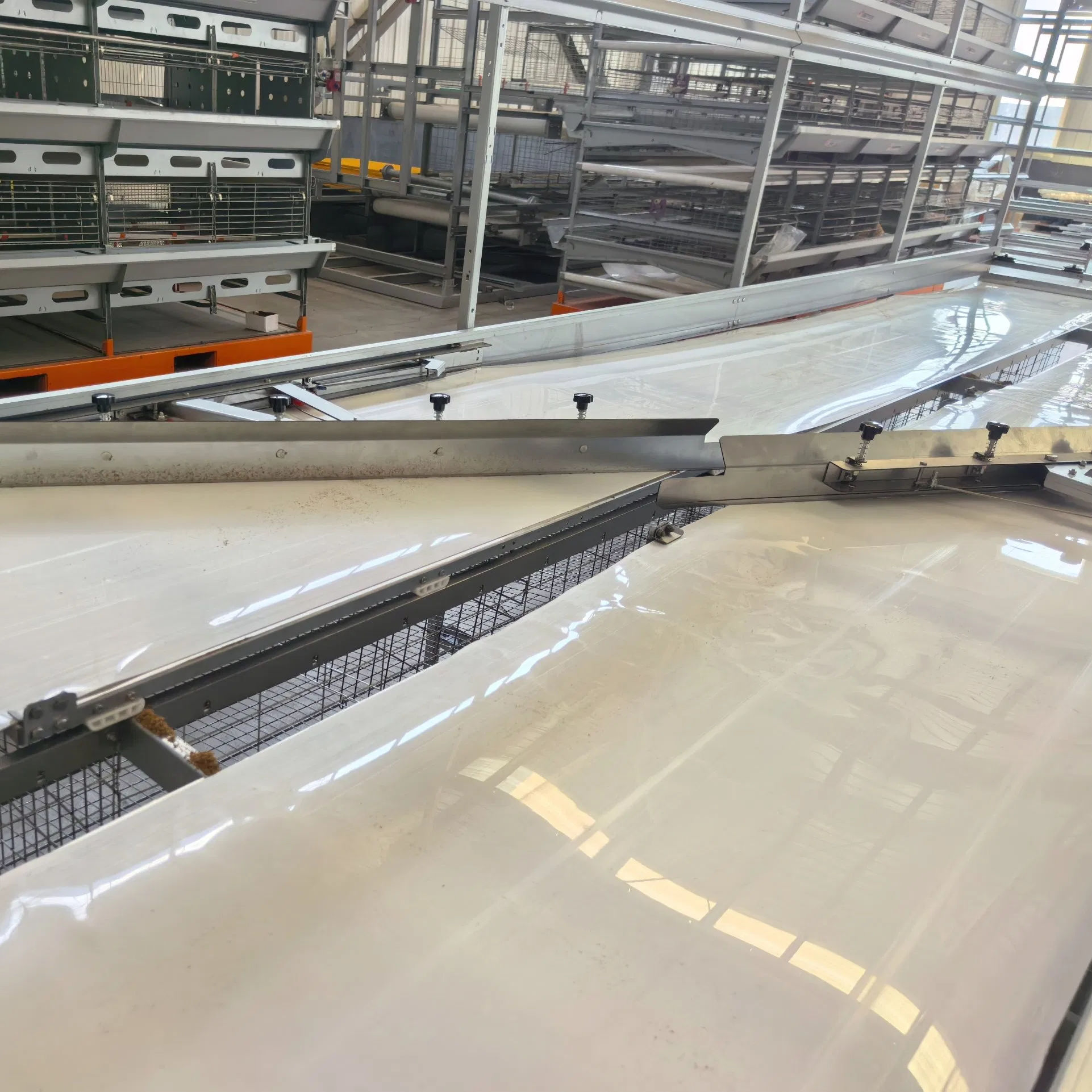 Turnkey Solution Poultry Farming Chicken Cage Automatic Manure Removal Equipment