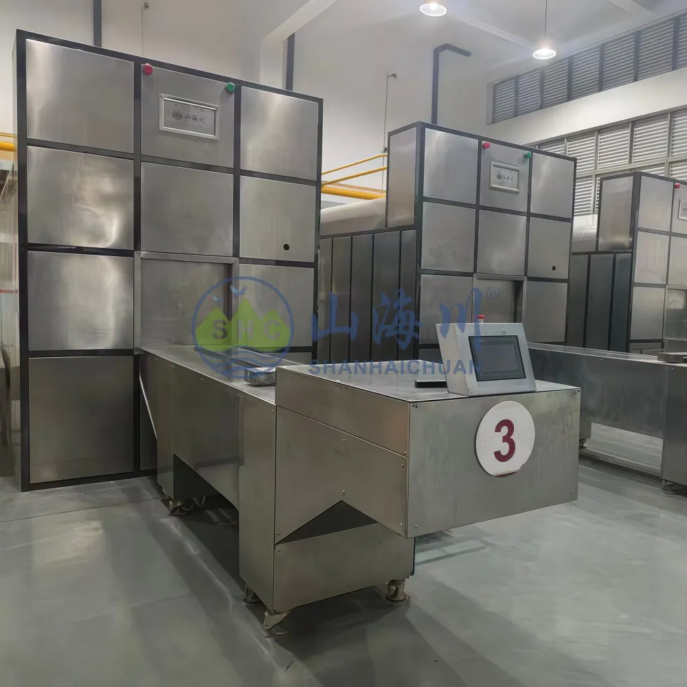 Integrated Stainless Steel Coffin Charging System for Effortless Cremation Service