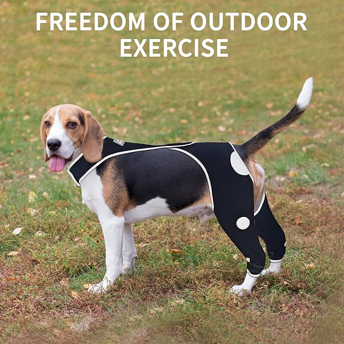 Adjustable Pet Hip Brace Support Pet Accessories for Mobility Aid