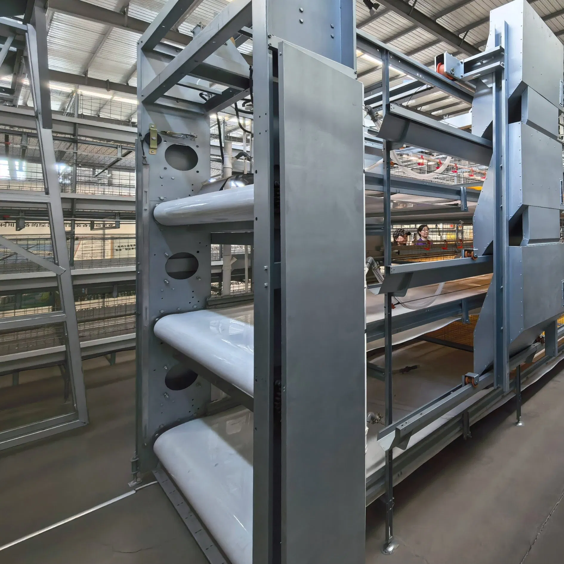 Poultry Farm Broiler Chicken Cage Automatic Efficient Manure Removal Equipment