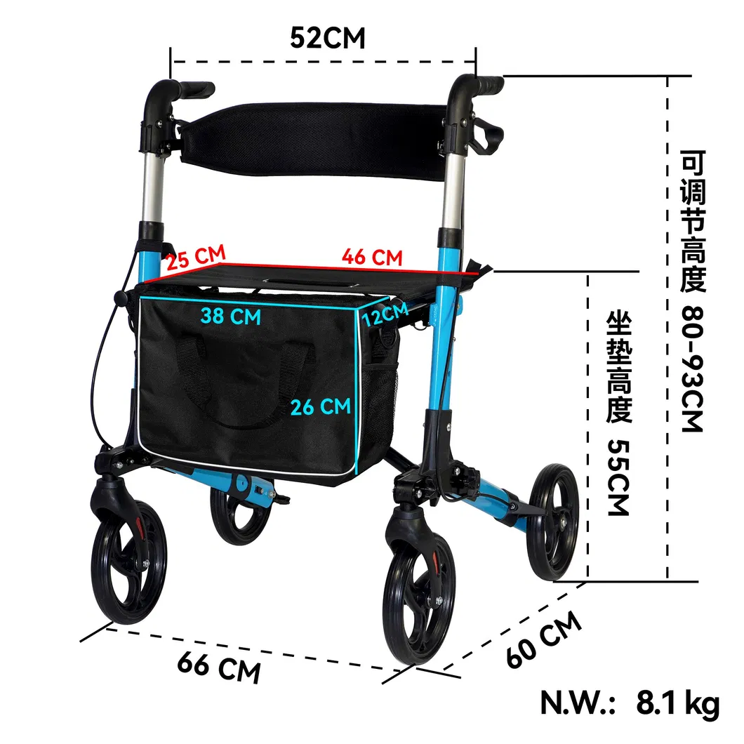 Outdoor Use Walker