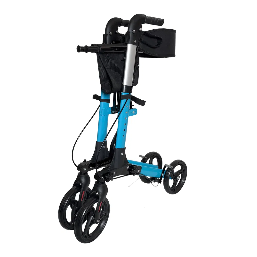 Rollator Walker Usage 2