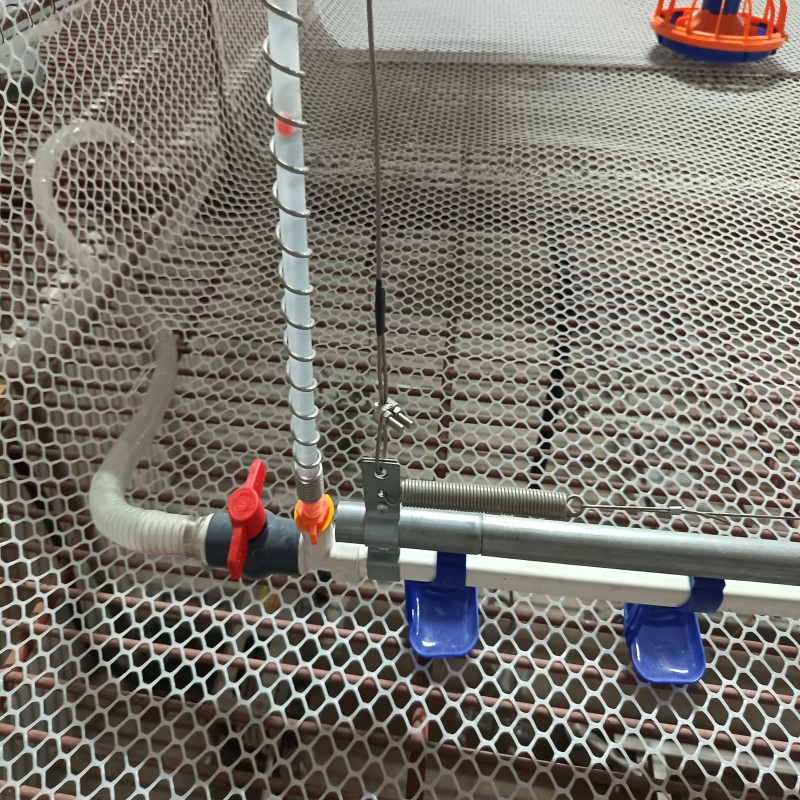 Advanced Poultry Equipment with Automatic Control System Adjustable Height and Efficient Cleaning to Support Chicken Fast Growth