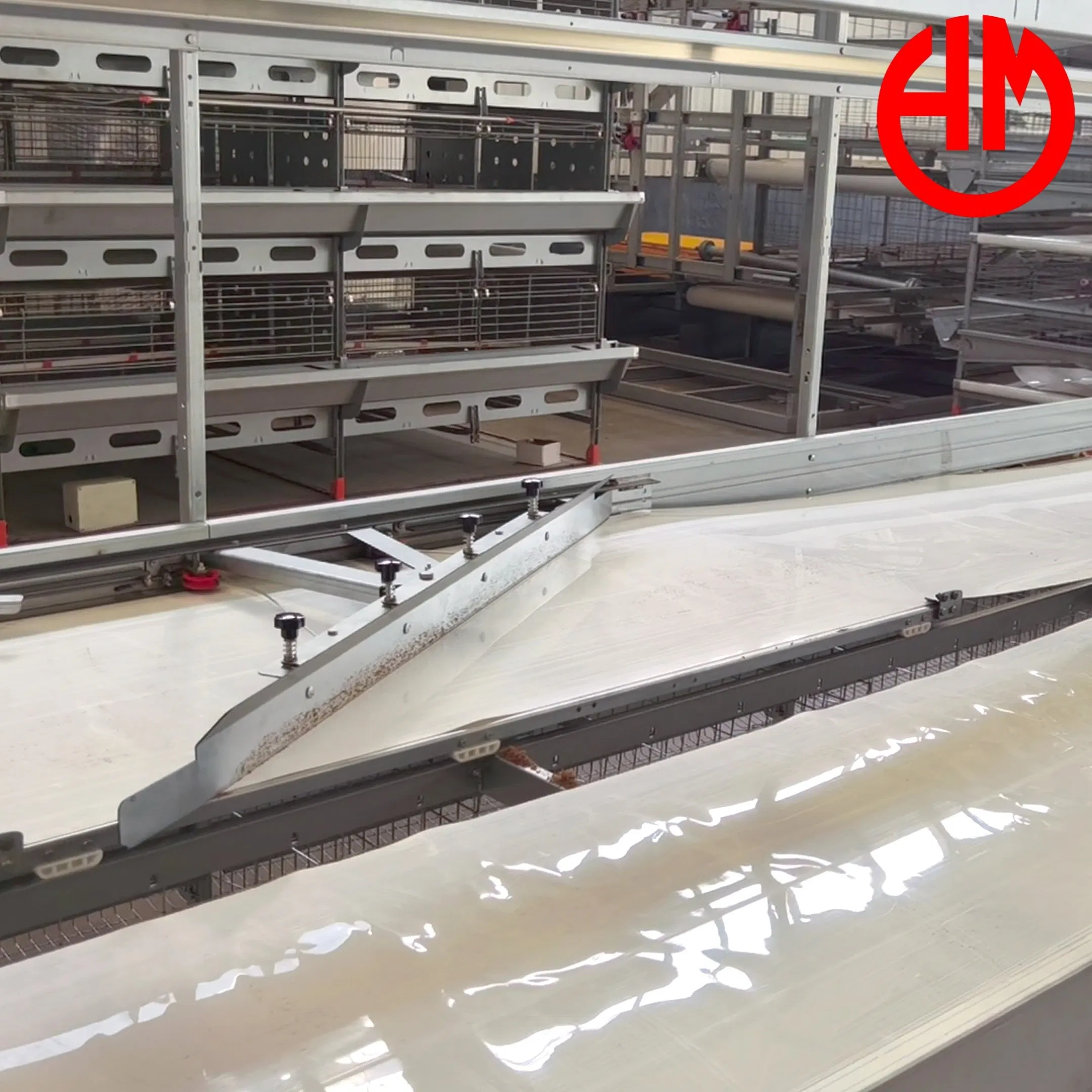 Multi Tier Layer Chicken Cage Poultry Farming PP Manure Conveyor Belt Equipment