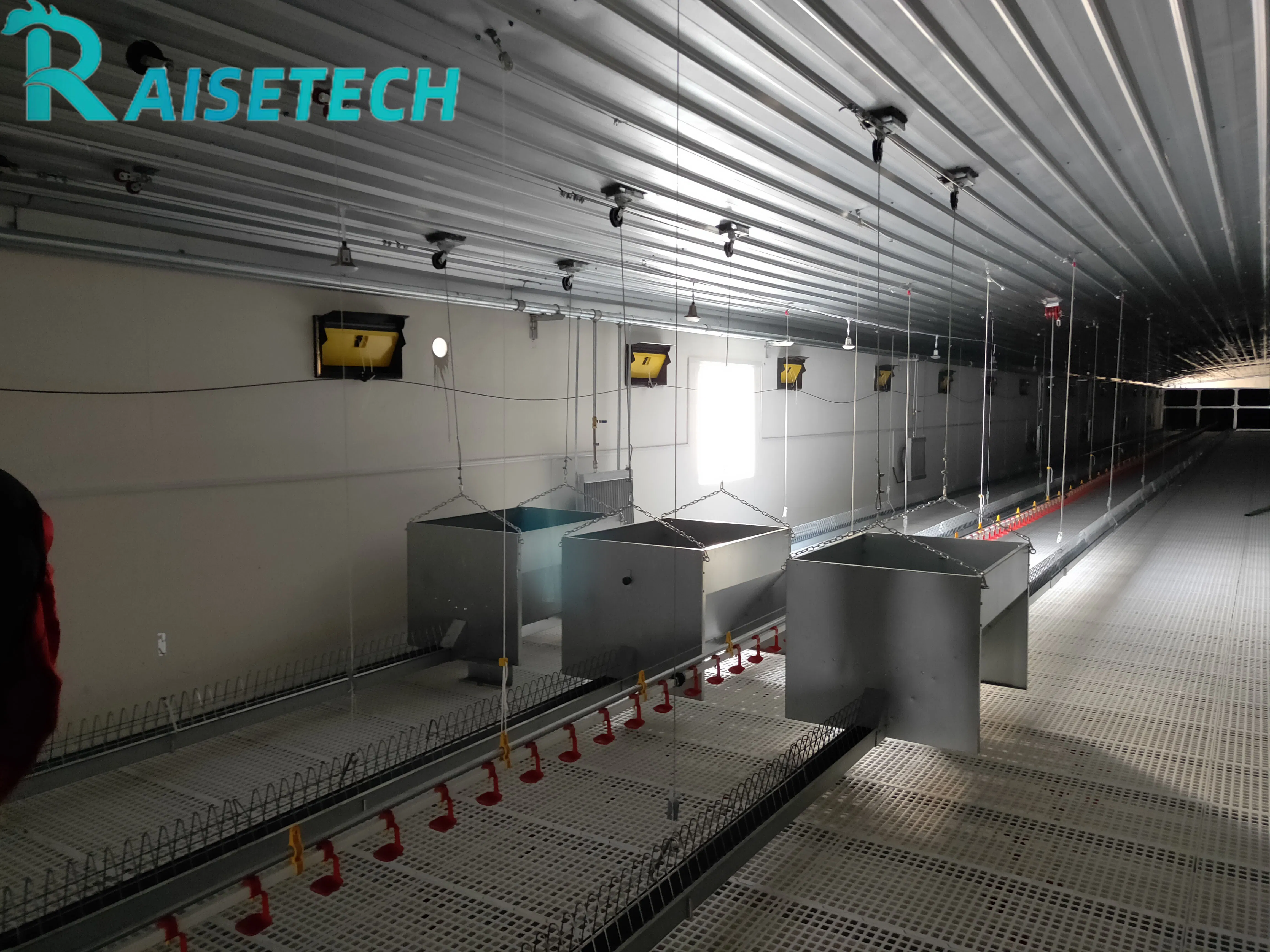 Chain Feeding Equipment for Broilers - 24-Month After-Sale Assistance