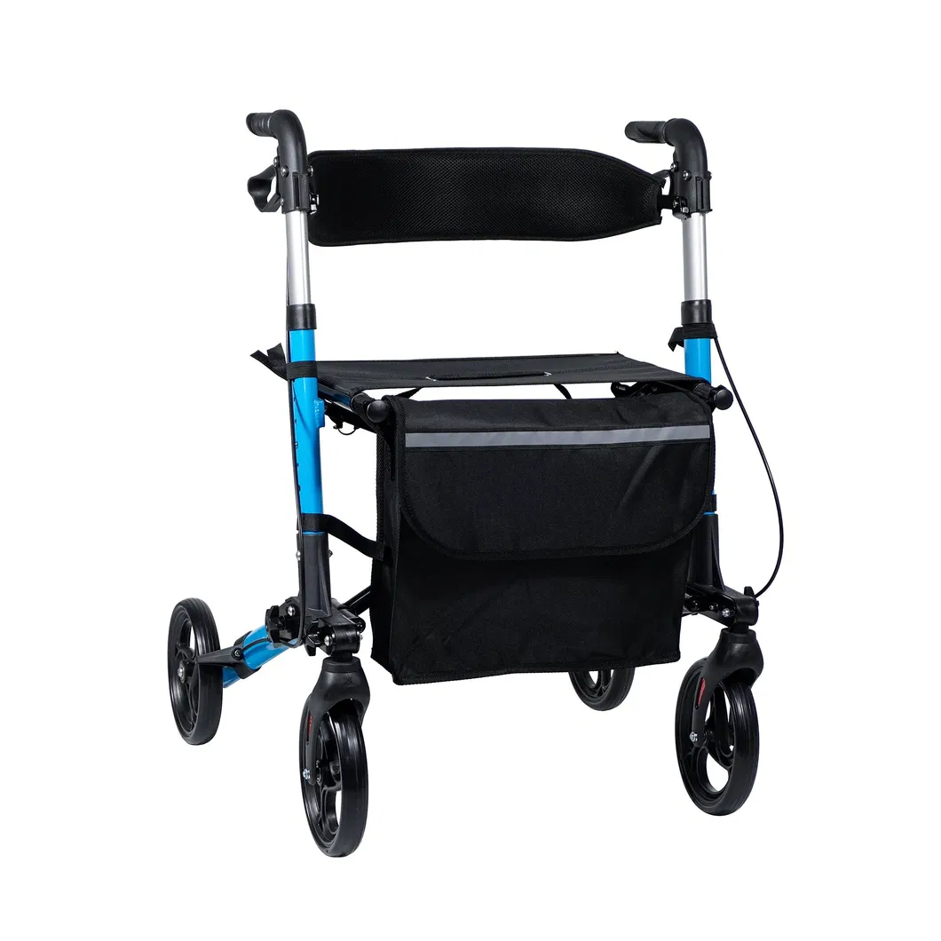 Rollator Walker View 1