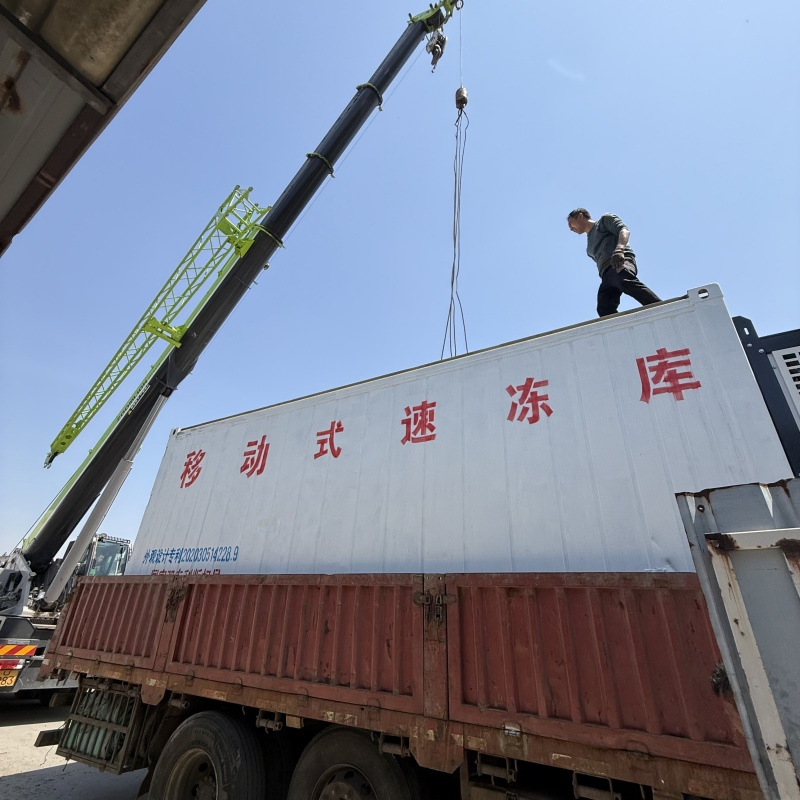 Container Quick Freezing Case: Seafood &amp; Meat Mobile Refrigeration New Solution