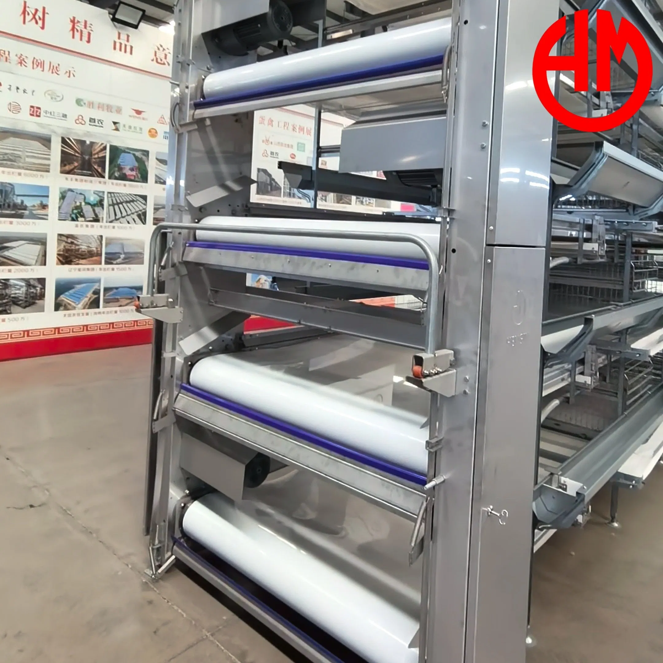 Turnkey Solution Poultry Farming Layer Chicken Cage PP Manure Conveyor Belt Equipment