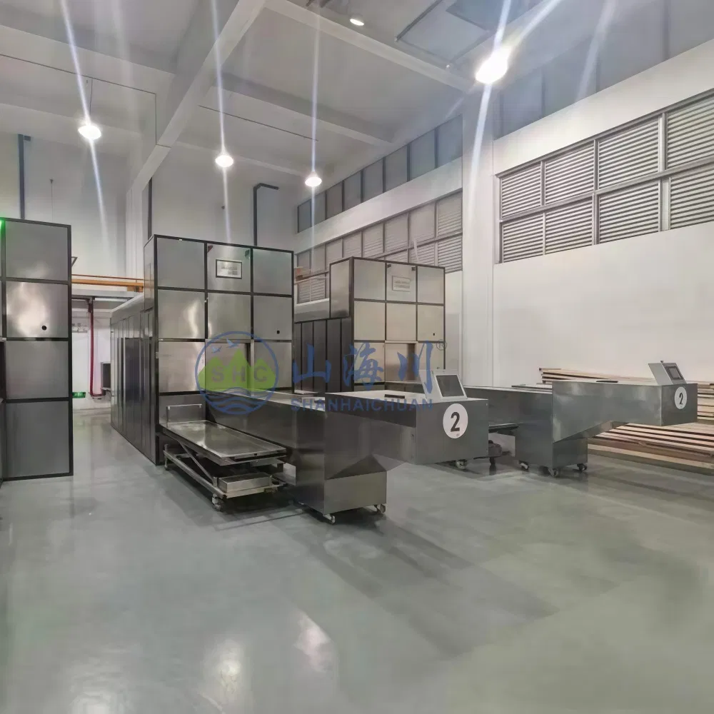 High Volume Mortuary Handling Equipment for Busy Crematoriums Corpse Transport System