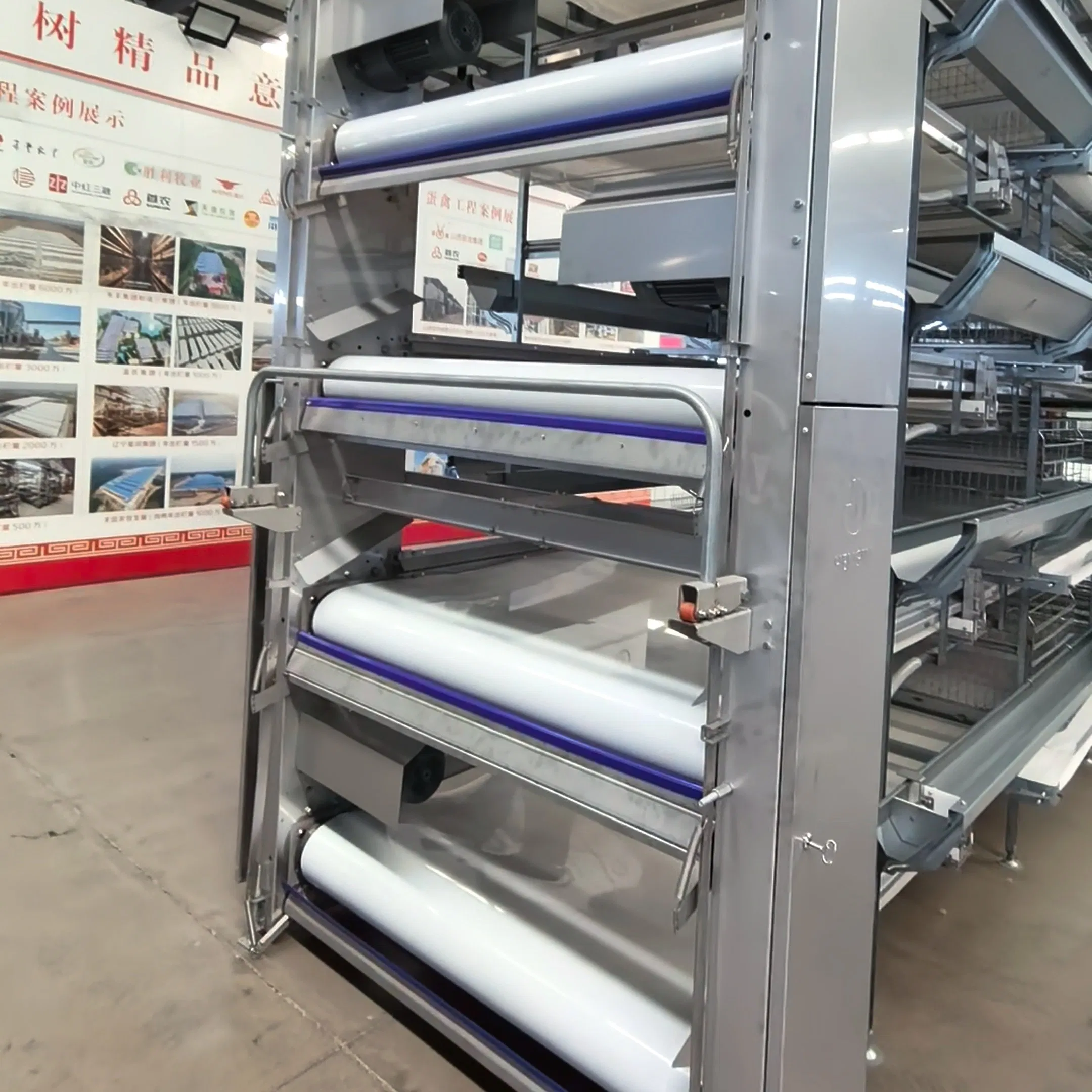 Poultry Farming H Type Chicken Cage Automatic Manure Removal Equipment