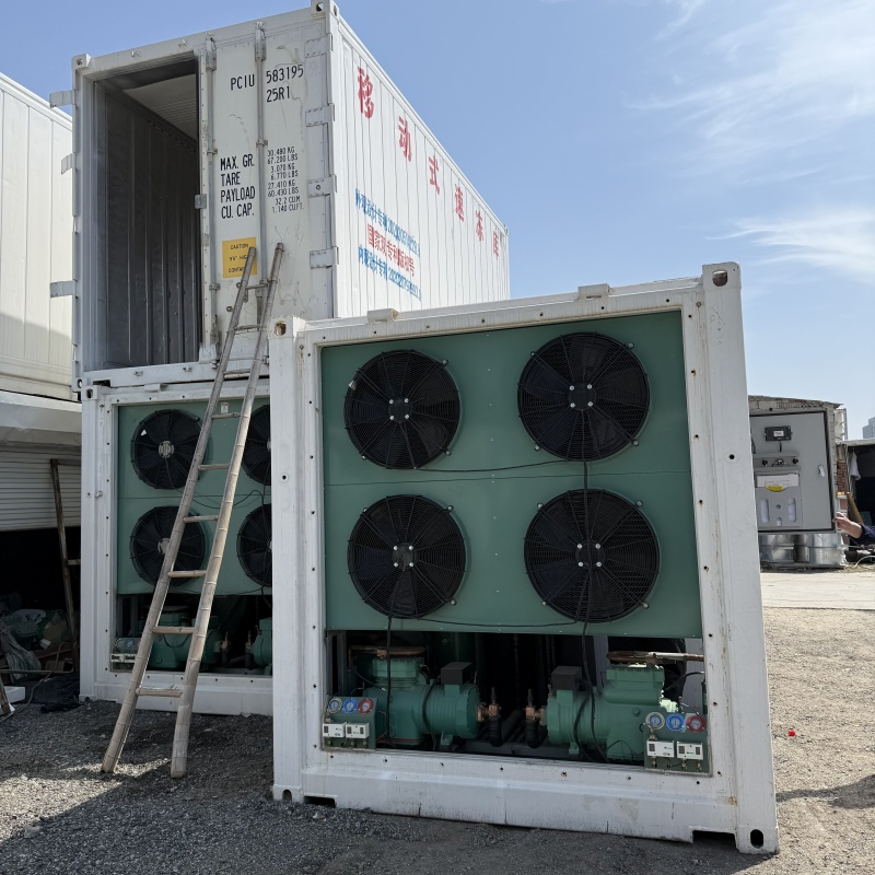 Container Quick Freezing Case: Seafood &amp; Meat Mobile Refrigeration New Solution