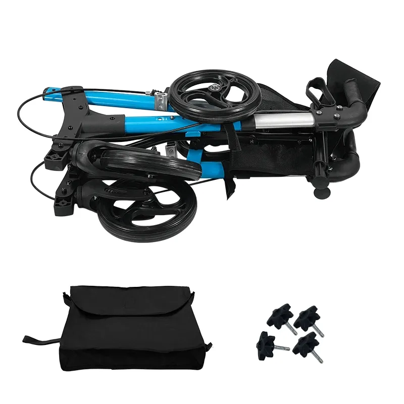 Rollator Walker Usage 1