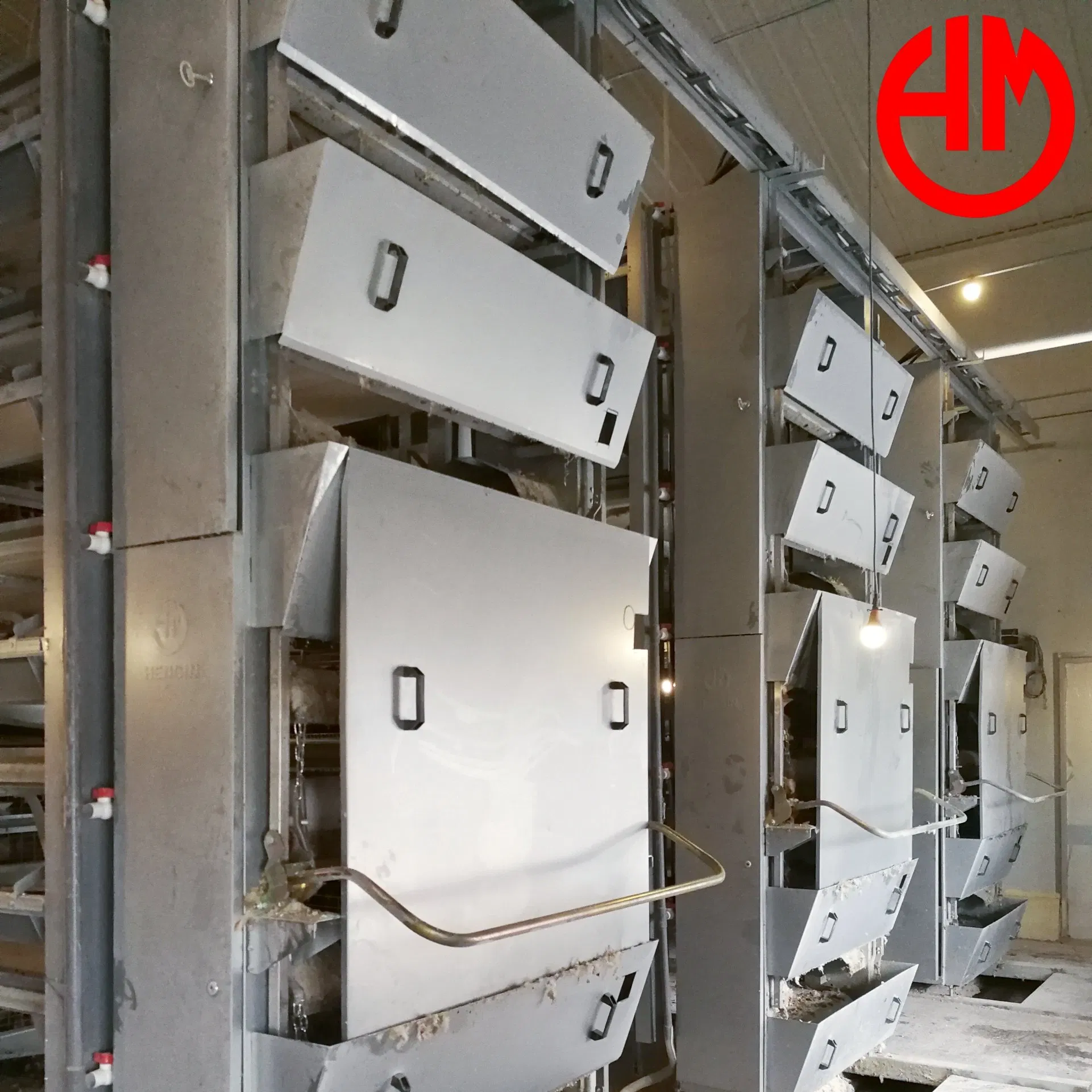 Turnkey Solution Poultry Farming Layer Chicken Cage PP Manure Conveyor Belt Equipment