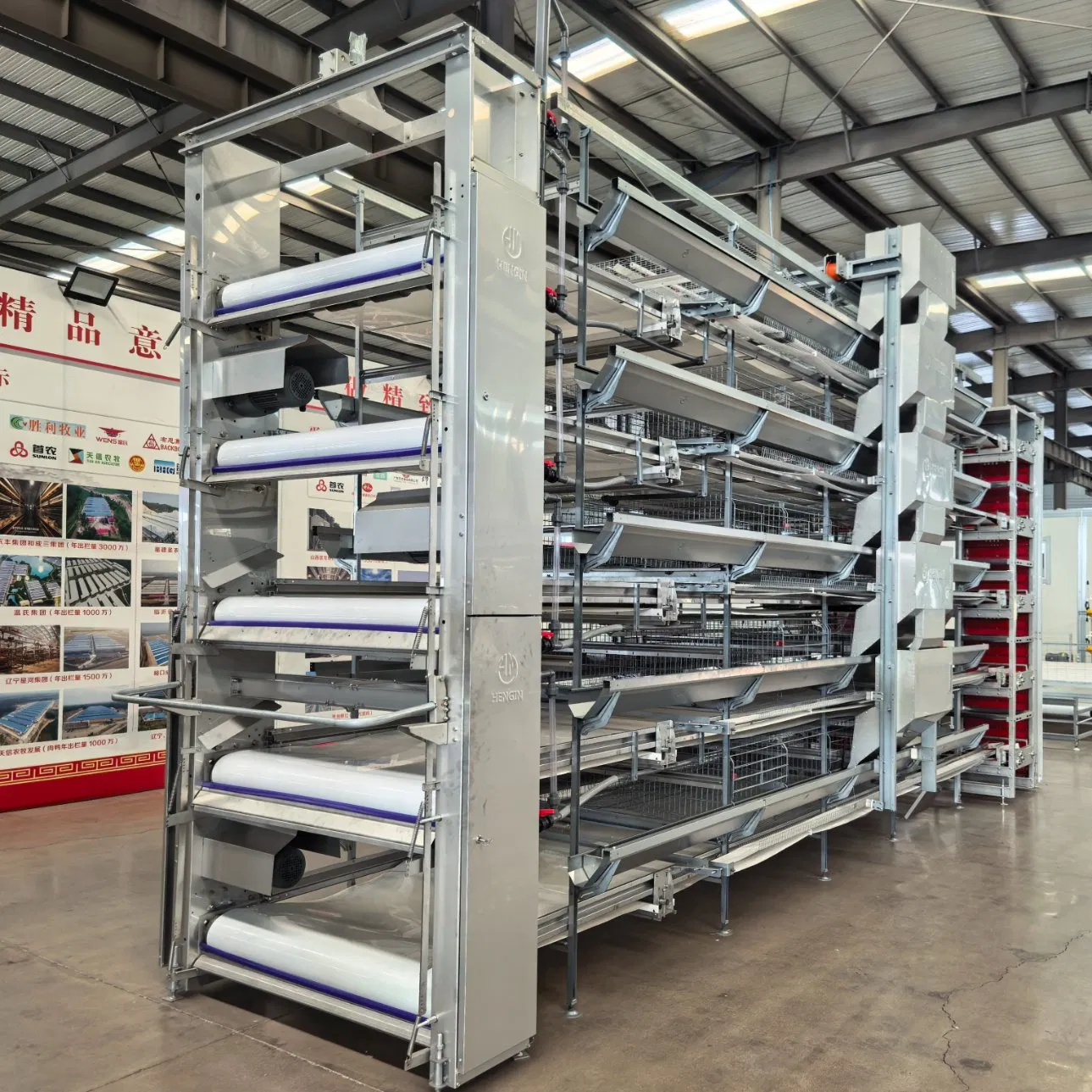 Easy Install Poultry Farm Broiler Chicken Cage Automatic Manure Removal Equipment