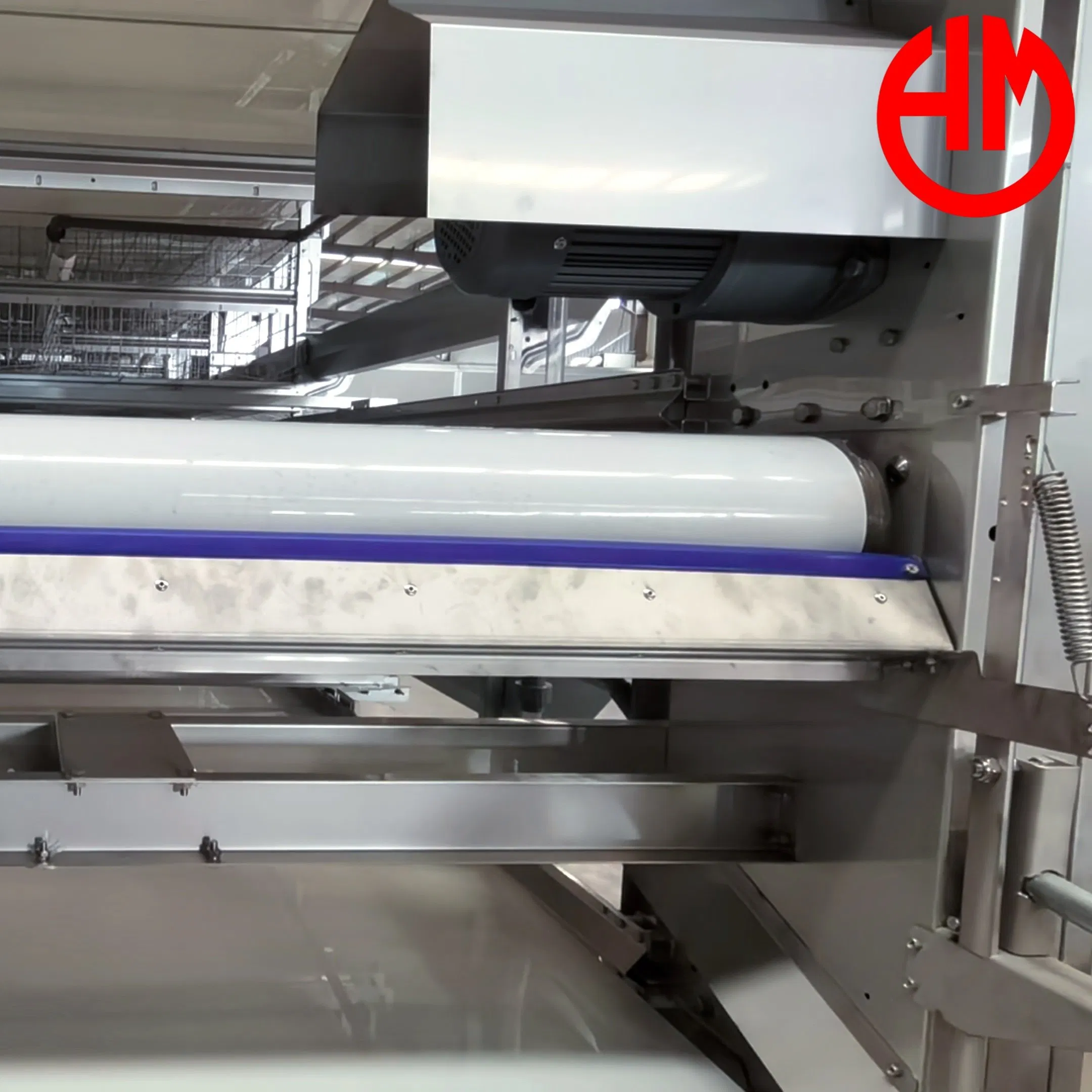 Turnkey Solution Poultry Farming Layer Chicken Cage PP Manure Conveyor Belt Equipment