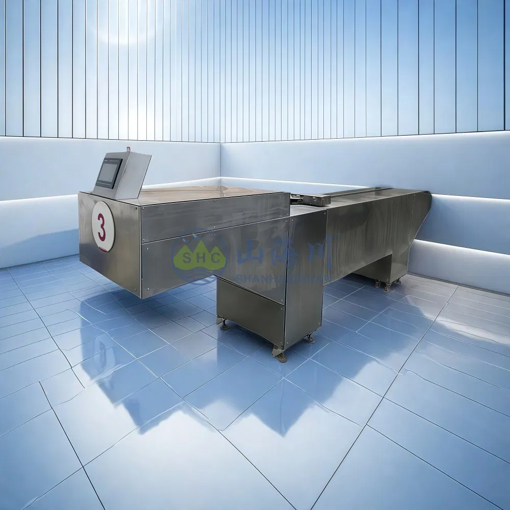 Fixed Chamber Bed Cremation Machine Body Charging System for Pushing Coffin in to Chamber Use