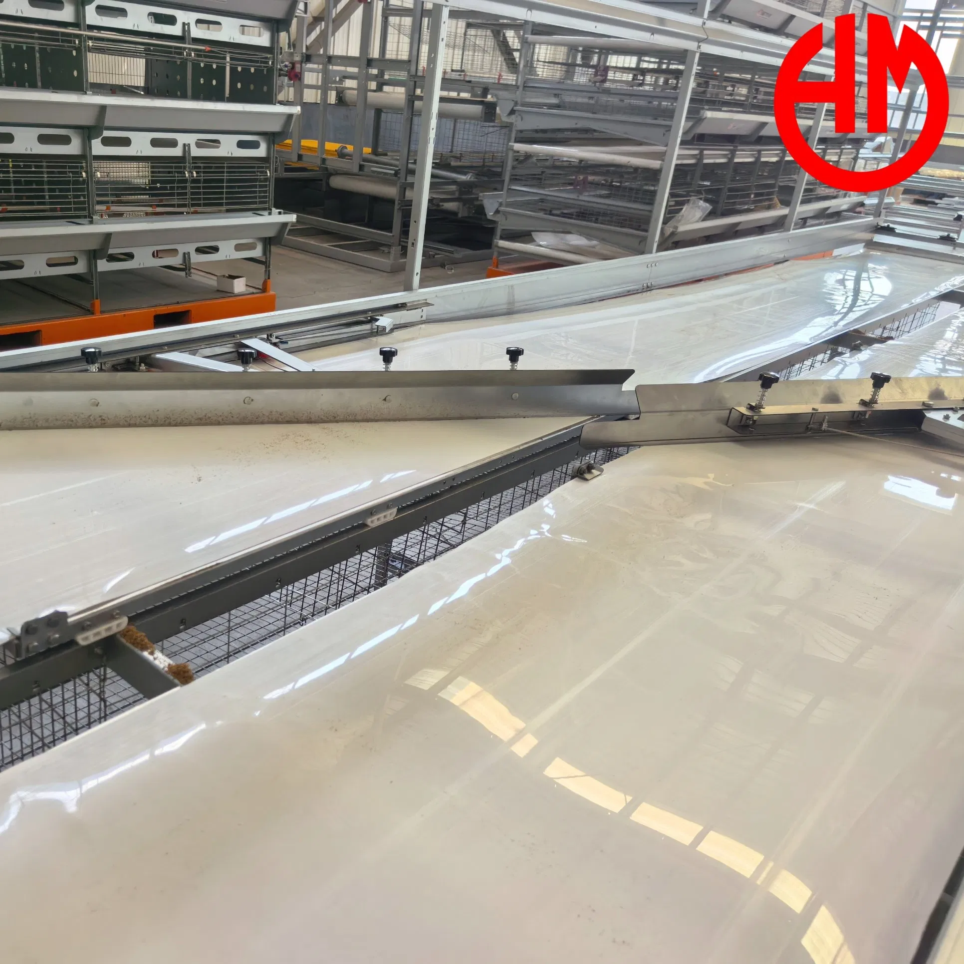 Multi Tier Layer Chicken Cage Poultry Farming PP Manure Conveyor Belt Equipment