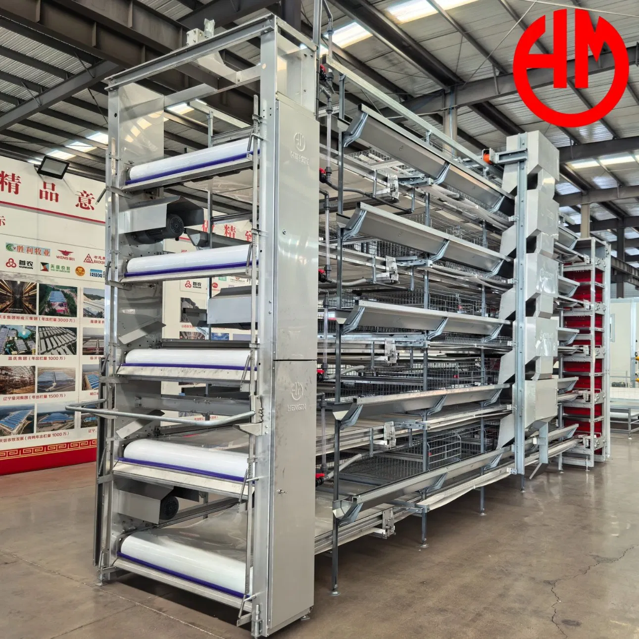 Turnkey Solution Poultry Farming Layer Chicken Cage PP Manure Conveyor Belt Equipment