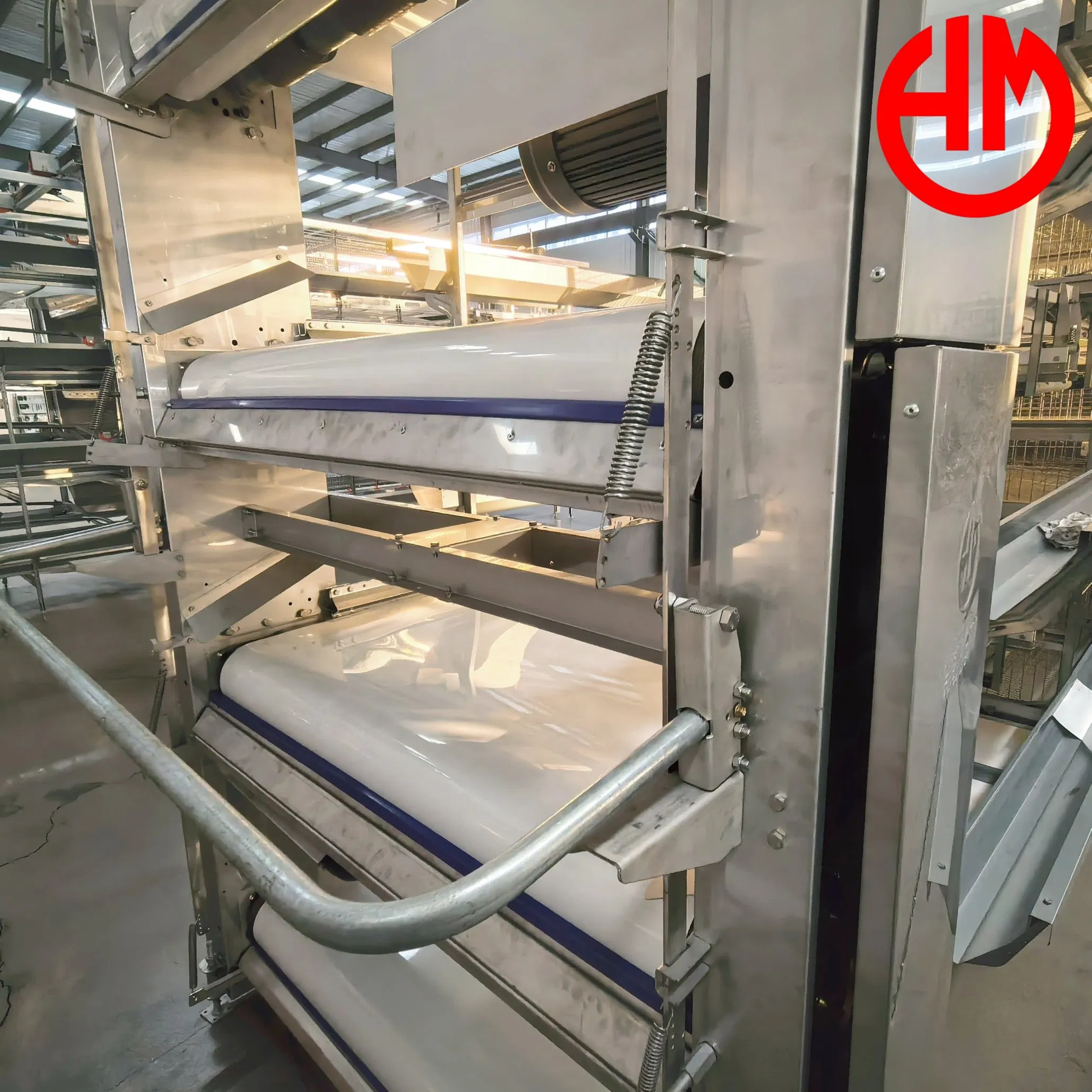 Easy Install Poultry Farming Layer Chicken Cage PP Manure Conveyor Belt Equipment
