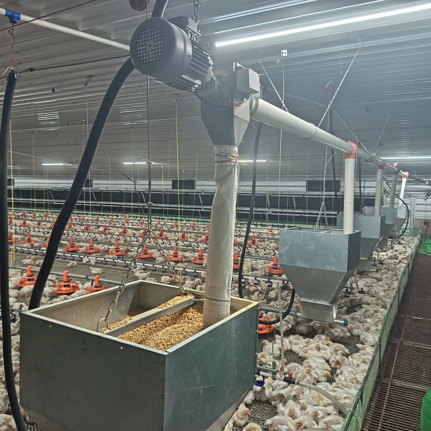 Modular Adjustable Flexible Fill System Equipment with Interchangeable Components Modular Mounting Options and Expandable Layout Supports Customization