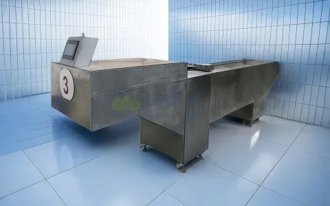 Automatic Coffin Charging System