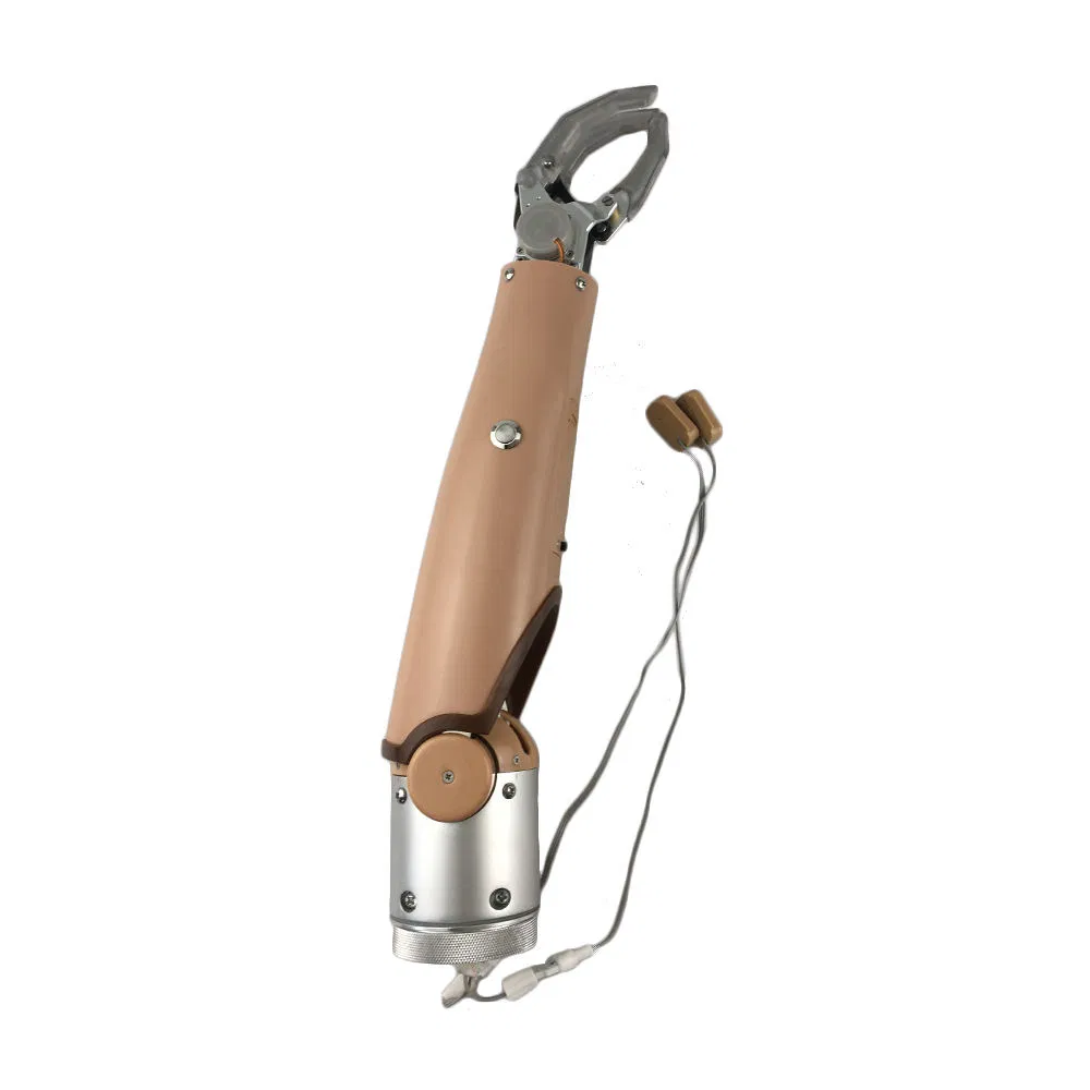 Disabled Prosthetic Arm Arm Elbow Two Degrees of Freedom Dual Degree Myoelectric Prosthesis Physical Therapy Equipment Hand