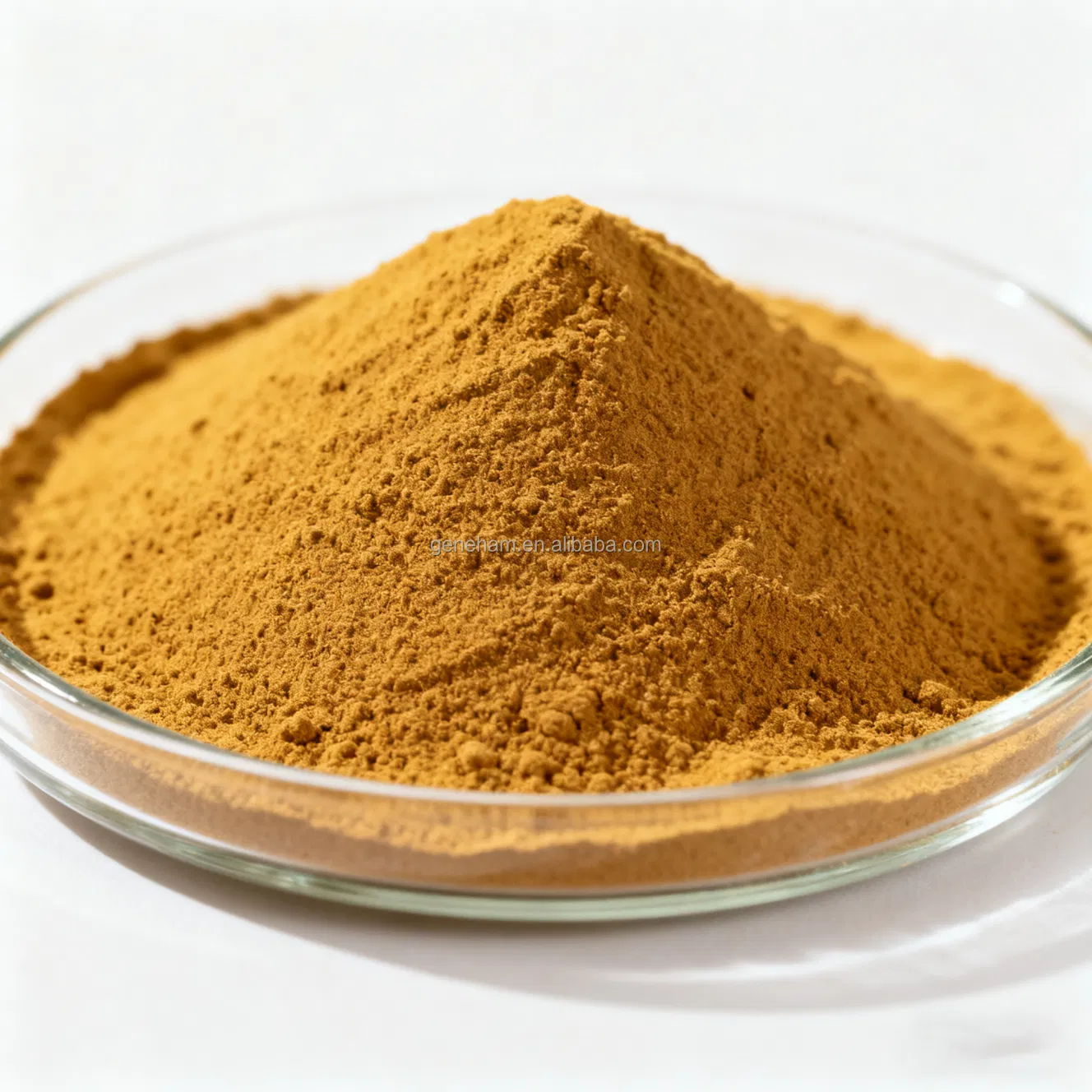 Fenugreek Seed Extract Powder Pure Total Saponins for Metabolic Health Halal Certified Supplement
