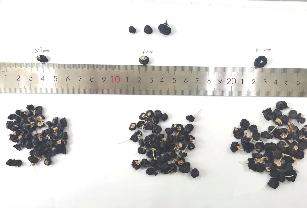 Detailed View Black Goji